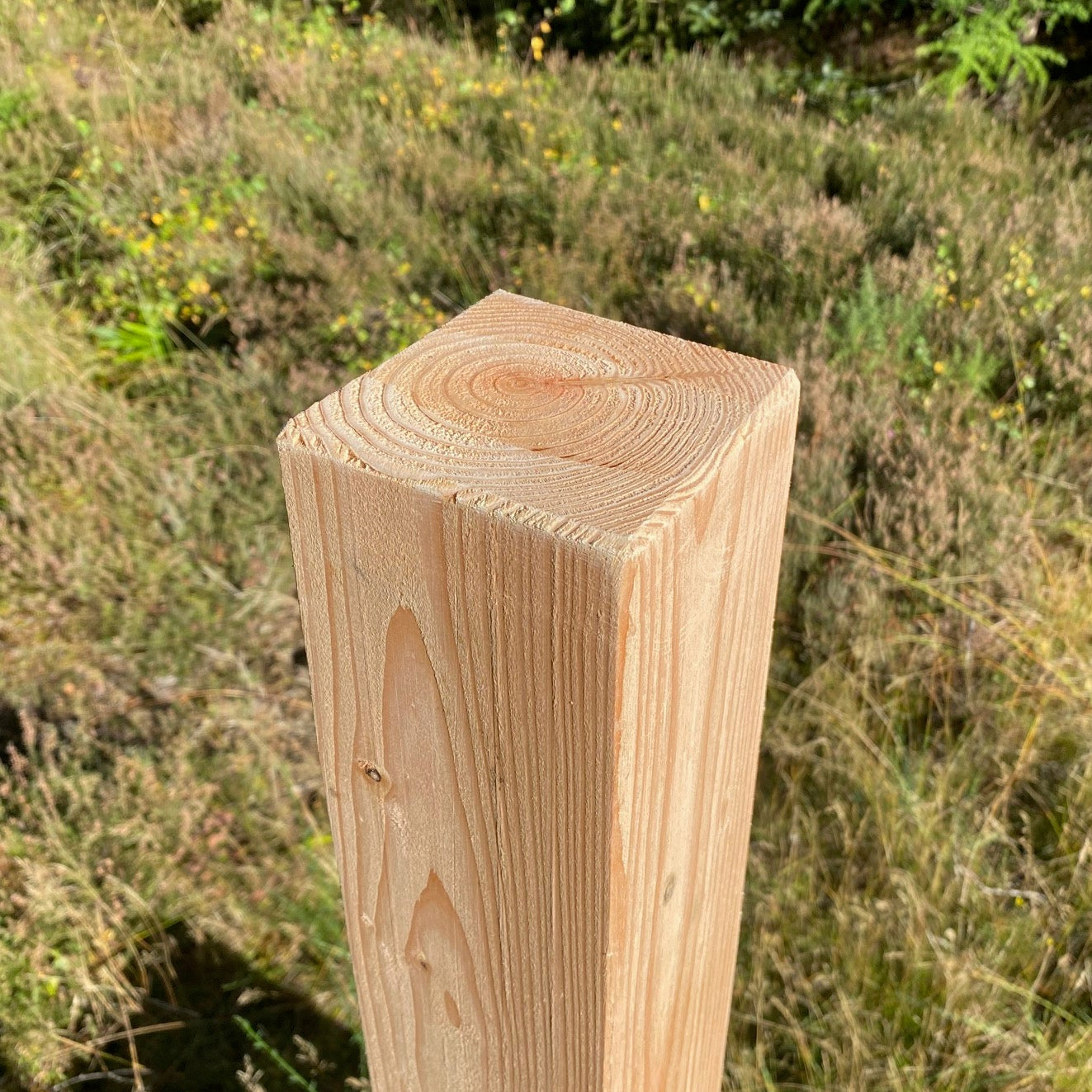 Larch fence posts- Planned 4x4"