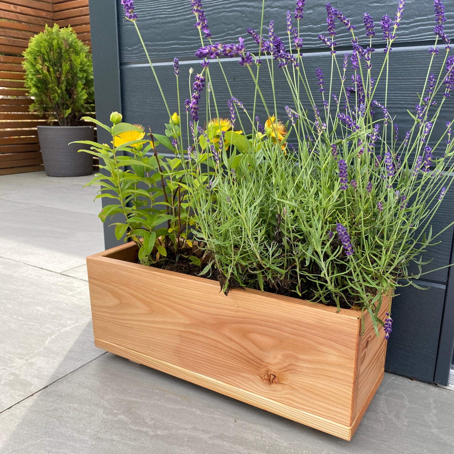 Larch Wood Garden Planter