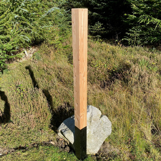 Larch fence posts- Planned 4x4"