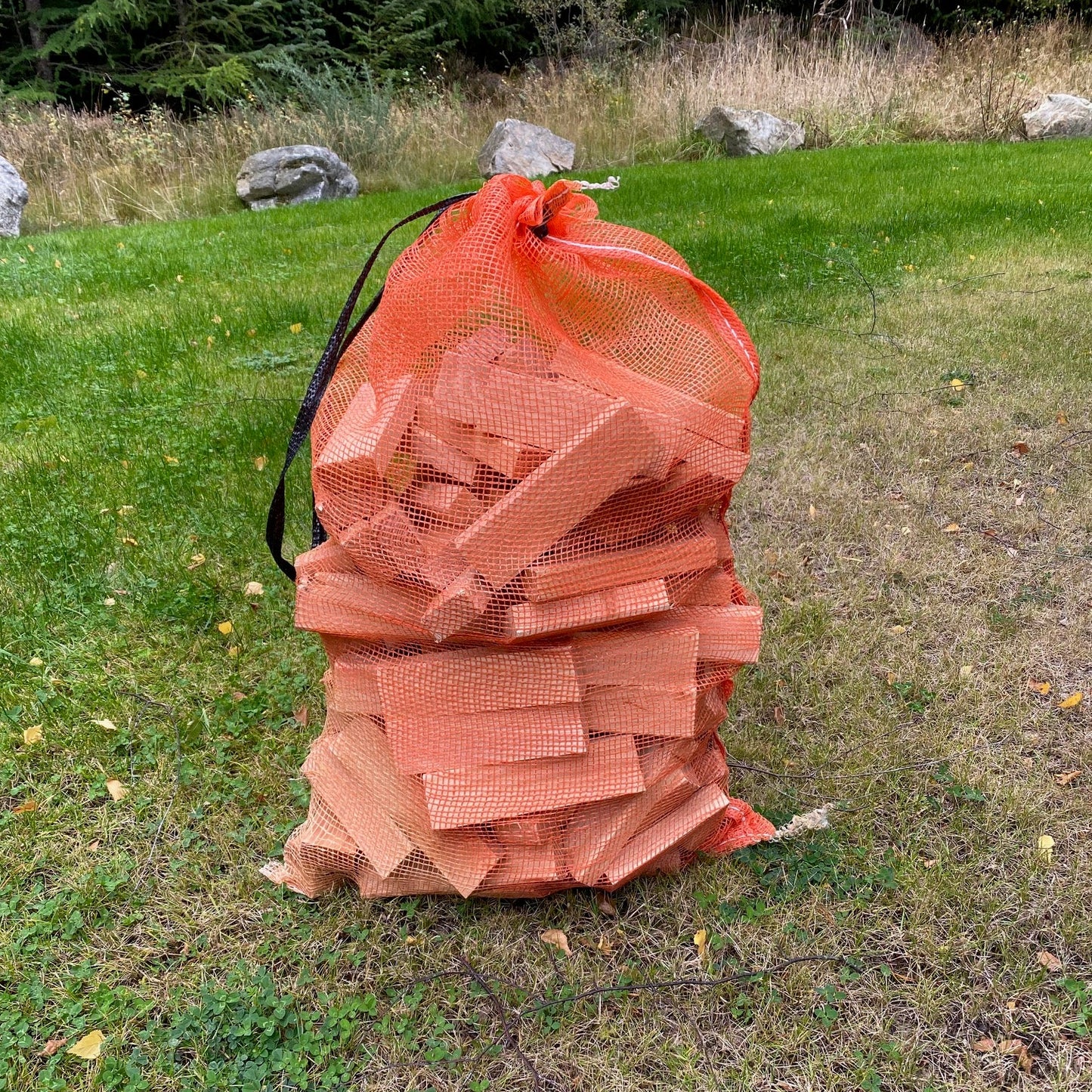 Seasoned Larch batten chunks